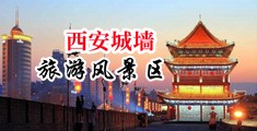 男人操女人大胸美女逼中国陕西-西安城墙旅游风景区