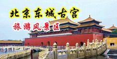 大吊尻骚逼网中国北京-东城古宫旅游风景区
